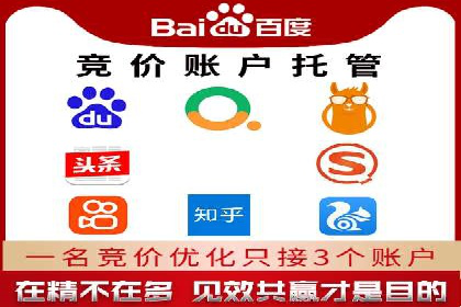 百度竞价广告成功案例：如何实现ROI最大化